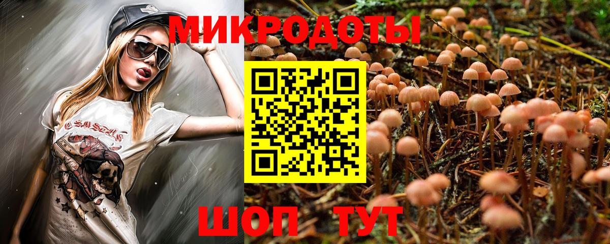 Псилоцибиновые грибы Psilocybe  Вход с VPN  Ростов-на-Дону 