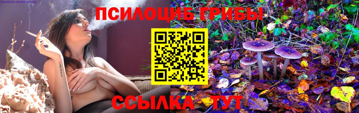 Галлюциногенные грибы MAGIC MUSHROOMS Ростов-на-Дону
